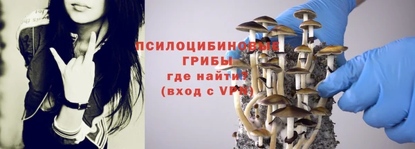 каннабис Пересвет