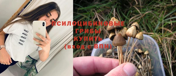 каннабис Пересвет