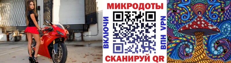 мега онион Полярный Псилоцибиновые грибы прущие грибы купить
