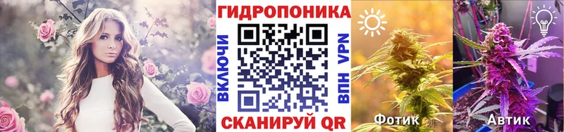 Канабис ГИДРОПОН даркнет сайт Полярный